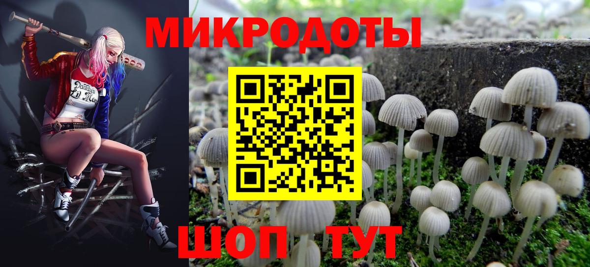 Псилоцибиновые грибы Psilocybine cubensis Ирбит