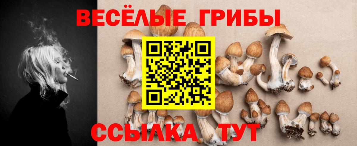 Псилоцибиновые грибы MAGIC MUSHROOMS  Вход с VPN  Ирбит  Псилоцибиновые грибы мухоморы 